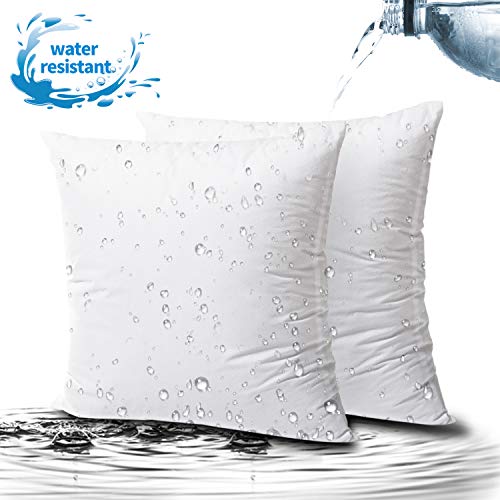 Product Cover Phantoscope 2 Packs Outdoor Anti-Mold Water Resistant Throw Pillow Inserts Hypoallergenic Square Form Sham Stuffer 22 x 22 inches