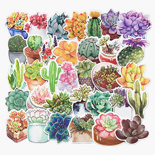 Product Cover Jasion 70-Pcs Vinyl Stickers Lovely Watercolor Flowers Cactus and Succulent Plants Cartoon Graffiti Decals for Water Bottles Cars Motorcycle Skateboard Portable Luggages Phone Ipad Laptops