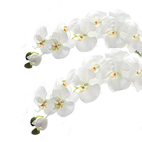 Product Cover Meiliy 2pcs 11 Heads White Artificial Phalaenopsis Flower Real Touch Butterfly Orchid Flower Latex Orchids for Home Decoration Wedding Centerpieces Decorative Artificial Flowers (with no vase)