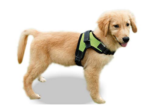 Product Cover Copatchy No Pull Reflective Adjustable Dog Harness with Handle (X-Small, Green)
