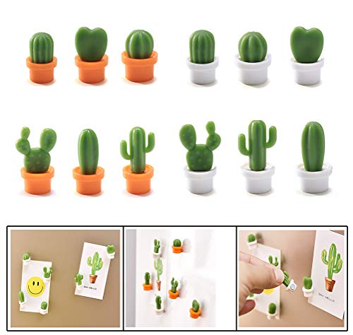 Product Cover Decorative Refrigerator Magnets, Perfect Fridge Magnets for House Office Personal Use (Cactus)