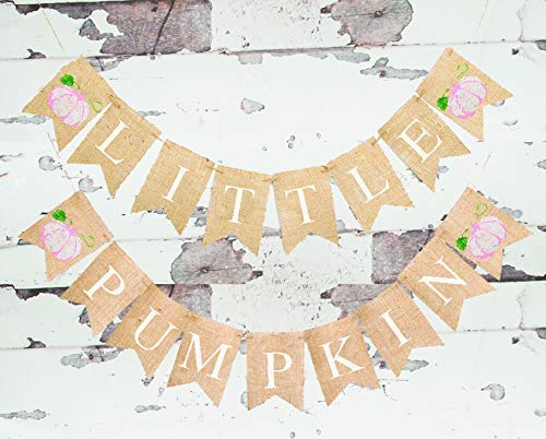 Product Cover Pink Little Pumpkin Banner | Fall First Birthday Party, Baby Shower or Gender Reveal Decor
