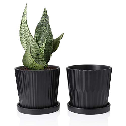 Product Cover Greenaholics Medium Plant Pots - 6 Inch Black Cylinder Ceramic Planters with Attached Saucers, Two Line Grain, Great House and Office Decor, Set of 2