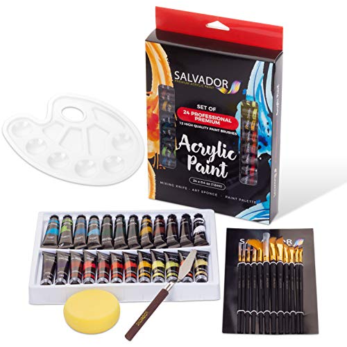 Product Cover Salvador Acrylic Paint Set - 24 Colors, Artist Paint Kit with Premium Paint Brushes, Mixing Knife, Paint Pallet and Sponge - Professional Painting Set Arts and Crafts Supplies for Adults and Kids