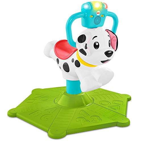 Product Cover Fisher-Price Bounce and Spin Puppy