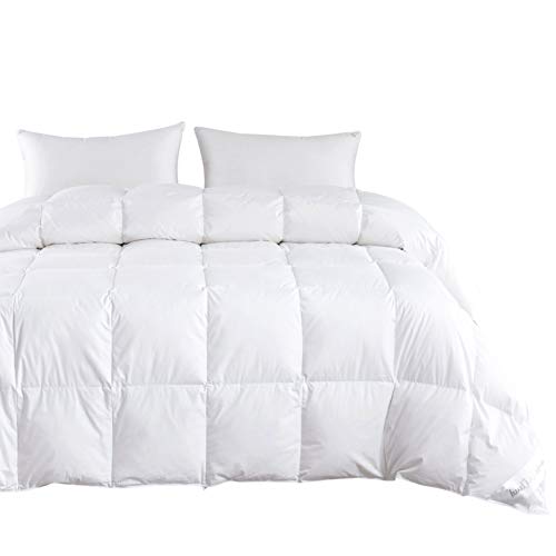 Product Cover Wake In Cloud - Goose Down Comforter/Duvet Insert, 100% Cotton 1200 Thread Count Shell, All Seasons 750+ Fill Power, 8 Tabs at Corners and Midpoints (White, Full Size)
