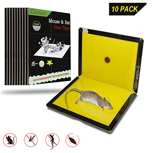 Product Cover Garsum 10 Pack/Mouse Glue Boards,Sticky Traps for Mice,Large Rat Glue Pads,Extra Sticky Traps with Peanut Butter Large Capture Area,Catch Mouse Indoor and Outdoor (Black XL)