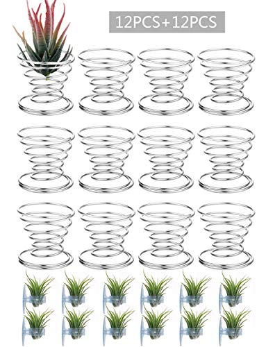 Product Cover BELLARMOR Air Plant Holder - 24 Pieces Tillandsia Air Plants Stand Containers Display Racks for Tabletop and Window Decorations (M)