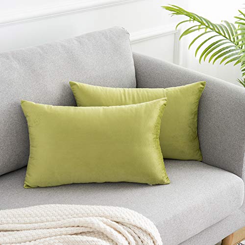 Product Cover WLNUI Soft Velvet Sage Green Throw Pillow Covers Set of 2 Decorative Pillow Case Lumbar Cushion Cover for Sofa Couch Home Farmhouse Decor 12x20 Inch 30x50 cm