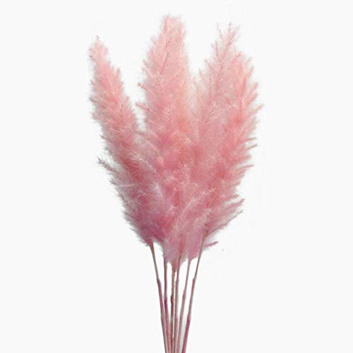 Product Cover MLSG 60 Stems Natural Dry Flowers Small Pampas Grass, Phragmites Communis, Dried Flowers Bouquet Floral Arrangements Home Decorations (Pink)