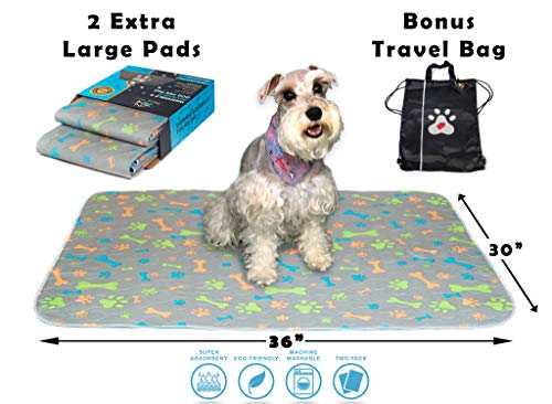 Product Cover Washable Pee Pads For Dogs, Dog Training Pads, Whelping Pad, Crate Pad, Dog Mat, Potty Pad for Dogs, Waterproof Puppy Pads, Reusable Dog Pee Pads, Incontinence Dog Bed Pad (Latest Design & Travel Bag)