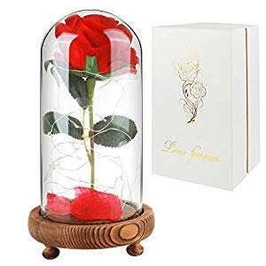 Product Cover Childom Beauty and The Beast Rose, Roses Enchanted Red Silk Rose with Fallen Petals Led Fairy String Lights in A Dome, Gifts for Anniversary, (Natural Wood Base)