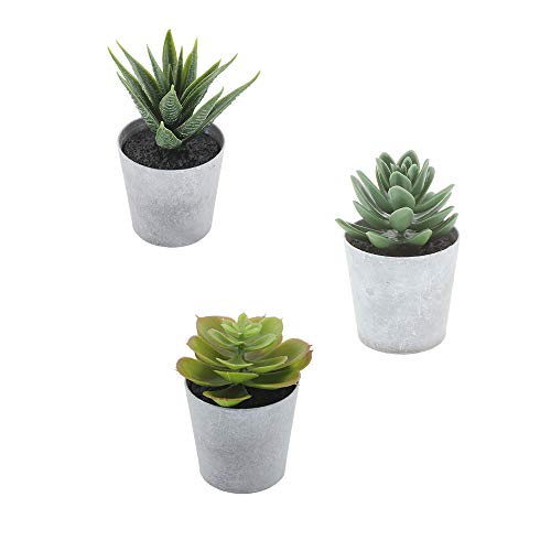Product Cover Artificial Succulents set of 3 Realistic Fake Plants with plastic Pots for Home and Office Decoration, Including Aloe, Echeveria laui and Haworthia coarctata f. greenii, 4~4.5in (H) x 2.5-2.75in (W)