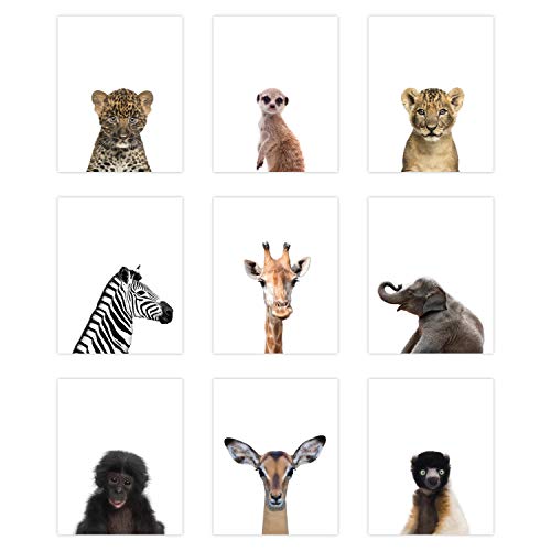 Product Cover 9 Pack Safari Animal Poster Prints - Cute Baby Animal Wall Art - Nursery Room Decor (8