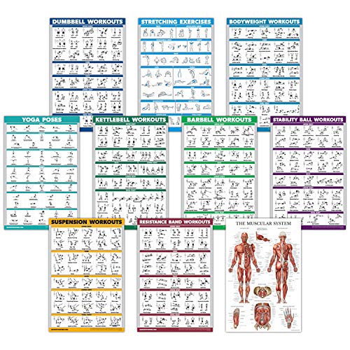 Product Cover 10 Pack - Exercise Workout Poster Set - Dumbbell, Suspension, Kettlebell, Resistance Bands, Stretching, Bodyweight, Barbell, Yoga Poses, Stability Ball, Muscular System Chart (LAMINATED, 18