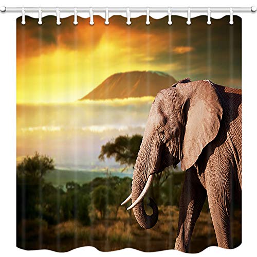 Product Cover JAWO Safari Decor Shower Curtain, African Elephant on The Prairie, Mildew Resistant Polyester Fabric Bathroom Decor, Bath Curtain with Hook, Bathroom Accessories, 69x70 Inch