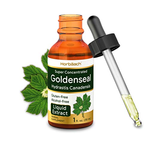 Product Cover Super Concentrated Goldenseal Liquid Extract 1 fl oz | Alcohol Free, Vegetarian, Non-GMO, and Gluten Free Tincture | by Horbaach
