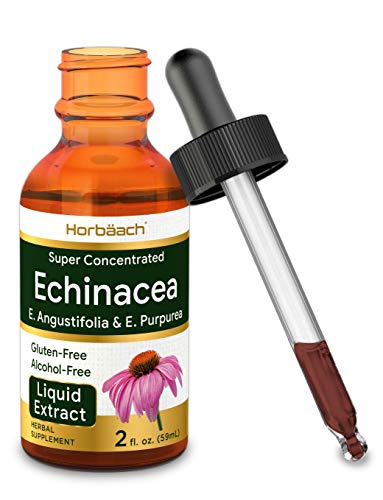Product Cover Echinacea Liquid Extract 2 oz | Super Concentrated | Alcohol Free, Vegetarian, Non-GMO, and Gluten Free | by Horbaach