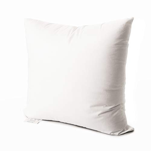 Product Cover EDOW Luxury Throw Pillow Insert, Soft Fluffy Down Alternative Polyester Square Form Decorative Pillow Insert,Sham Stuffer,Cotton Cover for Sofa, Couch,Bed and Car. (White, 24x24)