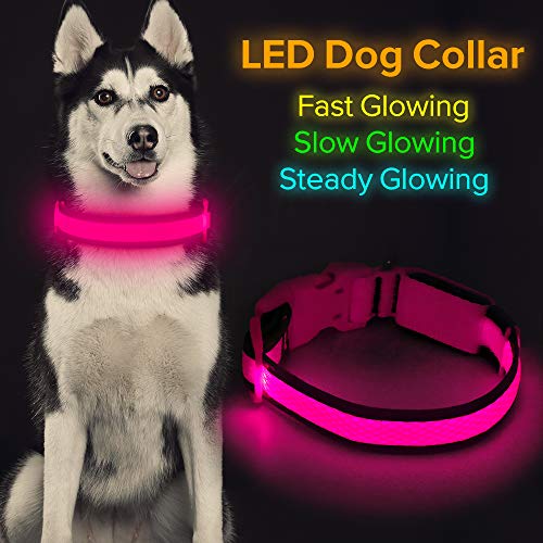 Product Cover HiGuard LED Dog Collar, USB Rechargeable Glowing Pet Collar Night Safety LED Light Up with Nylon Webbing Perfect for Small, Medium, Large Dogs (Large Collar[17