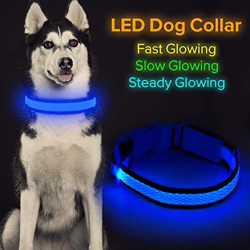 Product Cover HiGuard LED Dog Collar, USB Rechargeable Glowing Pet Collar Night Safety LED Light Up with Nylon Webbing Perfect for Small, Medium, Large Dogs (Small Collar[8