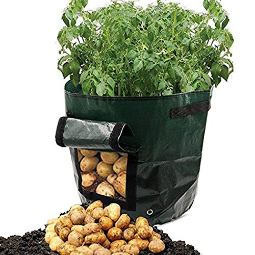 Product Cover cibenid Taro Potato Planter Bag Plant Flower Grass Grow Pot Home Garden Garden Tool Holders