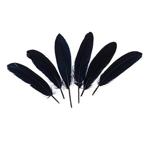Product Cover Wanjin Natural Goose Feathers 6-8 inches Clothing Accessories Pack of 100 (Black)
