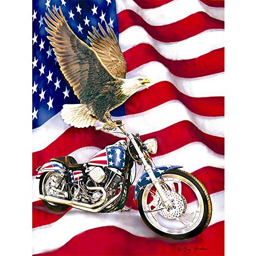 Product Cover Fundaful 5D DIY Diamond Painting Kits for Adults American Flag with Eagle Motorcycle Full Drill Paint by Number Shiny Rhinestone Embroidery Cross Stitch Art Craft Christmas Gift