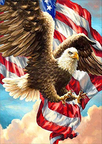 Product Cover 5D Diamond Painting Kit Full Drill,Annomor DIY Diamond Rhinestone Painting Kits Embroidery Arts Craft,Home and Office Wall Decor or Birthday, Anniversary, Wedding Gift (Eagle with US Flag)