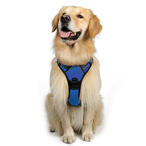 Product Cover rabbitgoo Dog Harness No-Pull Pet Harness Adjustable Outdoor Pet Vest 3M Reflective Pet Vest Harness for Large Breed (Blue, L)