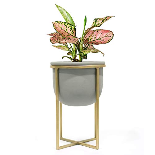 Product Cover Cement Flower Pot with Stand - 6.3 Inch Tabletop Planter, Grey Herbs Orchids Cacti Succulents Pot Indoor with Gold Metal Stand