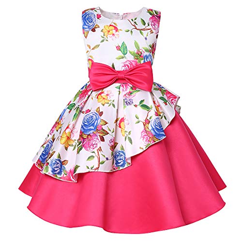 Product Cover LLQKJOH Girl Dress Kids Ruffles Lace Party Wedding Bridesmaid Dresses