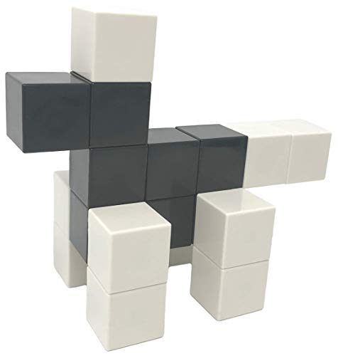 Product Cover Intock Magnetic Building Blocks, 40 Pieces Set, 40 Pcs Magnetic Cube Building Toys, Black & White, Simple Design, Yet Unlimited Imagination Magnetic Blocks, STEM Toys, & Fidgets Stress Relief Toys