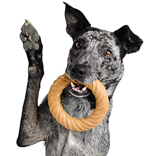 Product Cover Pet Qwerks BarkBone Chew Ring with Peanut Butter Flavor Dog Chew, Fetch and Tug Toy for Aggressive Chewers, Made in USA - Medium