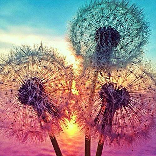 Product Cover 5D DIY Diamond Painting Kits for Adults Full Drill Crystal Rhinestone Embroidery Cross Stitch Arts Craft Canvas Wall Decor Dandelions