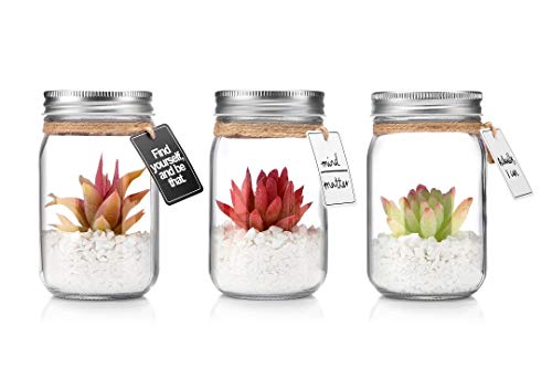 Product Cover Opps Mini Artificial Pink Succulent Plants with Special Rope Design Clear Glass Jar - Set of 3