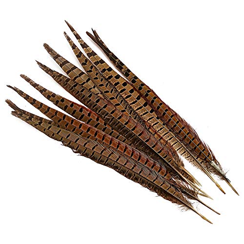 Product Cover wanjin 10PCS Natural Pheasant Feathers Pheasant Tails 14-16 inch(35-40CM),Natural