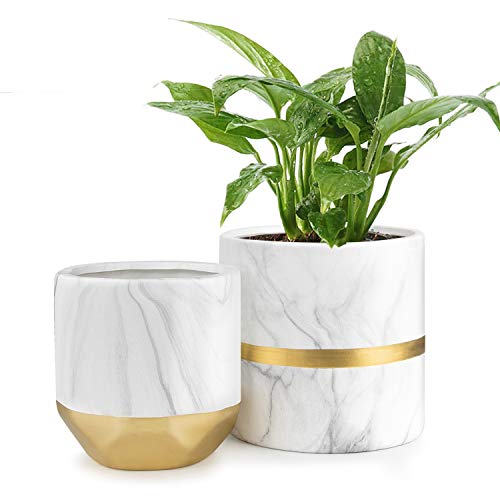 Product Cover HOMENOTE White Ceramic Flower Pot Garden Planters 6/4.8 inch Pack 2 Indoor, Plant Containers with Marble Texture and Gold Detailing