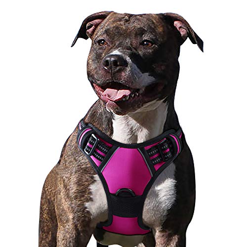 Product Cover Eagloo Dog Harness No Pull, Walking Pet Harness with 2 Metal Rings and Handle Adjustable Reflective Breathable Oxford Soft Vest Easy Control Front Clip Harness Outdoor for Medium Dogs Rose Red