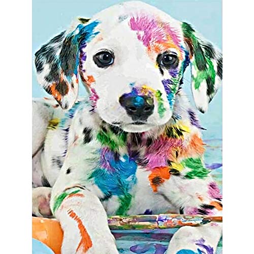 Product Cover DIY 5D Diamond Painting Kits for Adults Full Drill Diamond Painting Crystal Diamond Arts Crafts for Home Wall Decor - Colorful Dog (16 x 12 in)