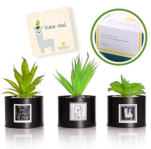 Product Cover Be Sunny Office Decor for Women Desk - Cactus Decorations - Set of 3 Fake Succulent in Black Luxury Pots - Llama and Inspirational Signs Included - Desk Decorations for Women Office and Home Decor