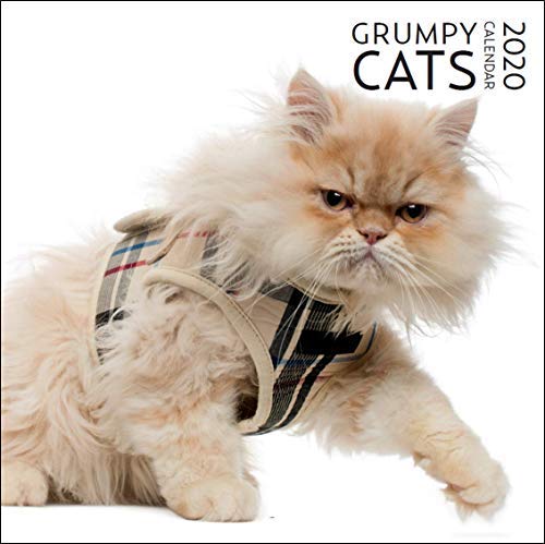 Product Cover 2020 Grumpy Cat Large Wall Calendar | 12
