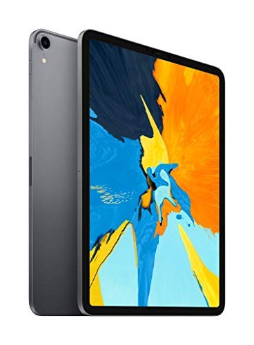Product Cover Apple iPad Pro (11-inch, Wi-Fi, 64GB) - Space Gray (Latest Model) (Renewed)