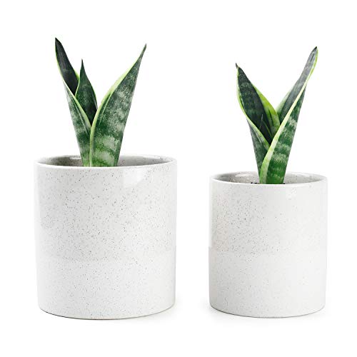 Product Cover Greenaholics Plant Pots - 5.9 + 4.7 Inch Ceramic Planters for Snake Plant, Medium Indoor Plant, Vintage Style, with No Saucers, Beige