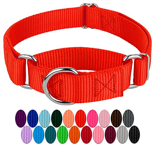 Product Cover Country Brook Design - 1 Inch Martingale Heavyduty Nylon Dog Collar - Hot Orange - Large