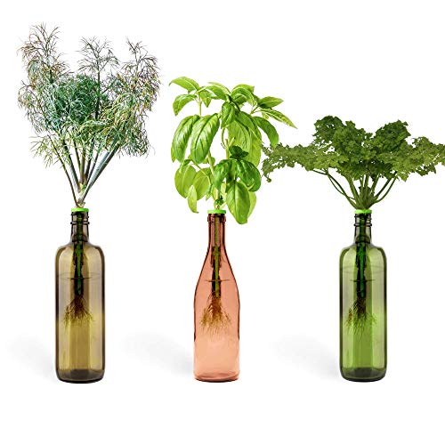 Product Cover Urban Leaf - Windowsill Herb Garden Starter Kit - Self Watering Indoor Bottle Garden Kit - incl 3 Types Herb/Flower Seeds - Perfect Unique Gift for Her (or Him!)