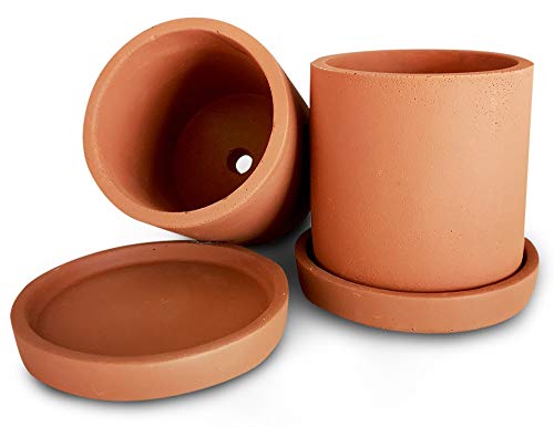 Product Cover Mini Terracotta Succulent Plant Pot with Drainage and Saucer, Best for Premium Indoor Outdoor Home Décor, Eco-Friendly Concrete Cement Planter, 3 Inch Cactus Planter Pot, Set of 2, Makes A Great Gift