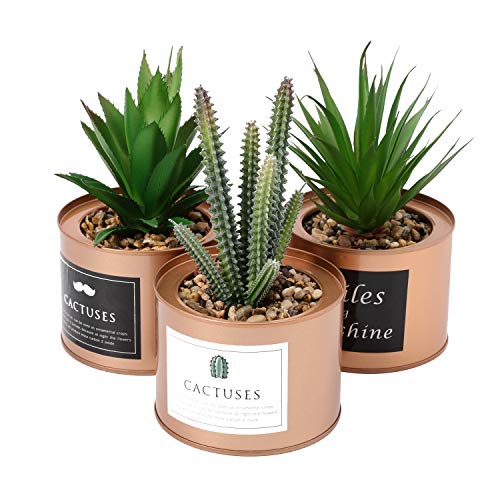 Product Cover Bluecho Small Artificial Plants Plastic Fake Green Grass Cactus Succulent in Golden Can Pot for Desk Table Decor - Set of 3 ...