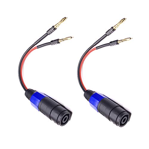 Product Cover CESS-004 Banana Plugs to Speakon Speaker Patch Cable - 4mm Banana to Female Speakon Jack Speaker Adapter Cable - 2 Pack