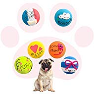 Product Cover Latex Squeaky Dog Toys